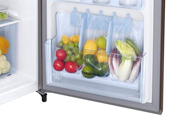 Samsung 246L 3 Star Inverter Direct-Cool Single Door Refrigerator Appliance (RR26C3733DX/HL,Luxe Brown) - Image 6