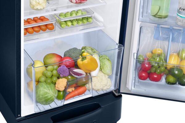 Samsung 246L 3 Star Inverter Direct-Cool Single Door Refrigerator Appliance (RR26C3893CU/HL,Camellia Blue) Base Stand Drawer - Image 6