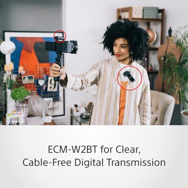 Sony Zv-E10L Vlogging Kit with 16-50Mm Power Zoom Lens, USB Wireless Microphone(Ecm-W2Bt), Lavalier Microphone(Ecm-Lv1), Bluetooth Grip(Gp-Vpt2Bt), Battery Charger (Bc-Trw), Rechargeable Battery(7) - Image 6