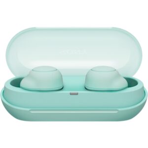 Sony WF-C700N True Wireless Noise Cancelling Earbuds - All-day comfort and stability - Up to 15H battery life with charging case - Sage Green