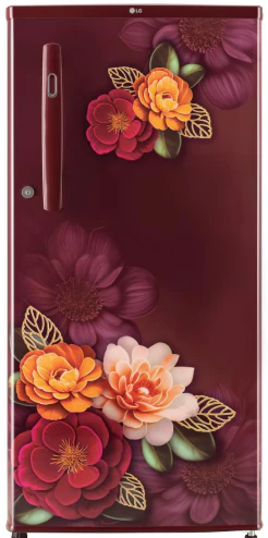 LG GL-B199ORKD 185 L Direct Cool Single Door 3 Star Refrigerator with Fast Ice Making (Ruby Klase Finish)