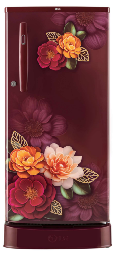 LG 185 L 3 Star Direct-Cool Single Door Refrigerator (GL-D199ORKD,Fast Ice Making)