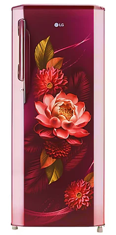 LG GL-B281BRWX 261 L 3 Star Inverter Direct Cool Single Door Refrigerator | Smart Inverter Compressor | Fast Ice Making | Moist ‘n’ Fresh | Stabilizer Free | Shiny Steel